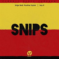 Snips – Say It (feat. Pauline Taylor)