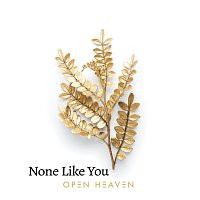 Open Heaven – None Like You [Live]