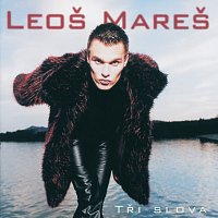 Leoš Mareš – Tri slova