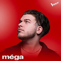 Méga, The Voice – Skin