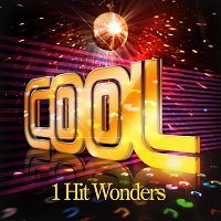 Přední strana obalu CD Cool - One Hit Wonders