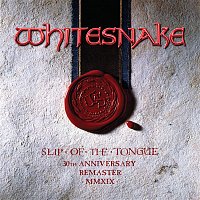 Slip Of The Tongue (2019 Remaster)