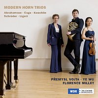 Přemysl Vojta, Ye Wu, Florence Millet – Abrahamsen: Six Pieces for Horn, Violin and Piano: No. 2, Blues