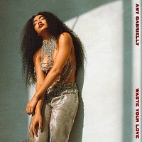 Any Gabrielly – Waste Your Love