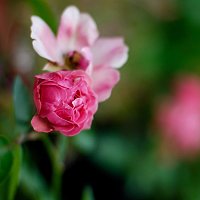 Přední strana obalu CD Low Clarity