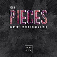 Přední strana obalu CD Pieces (m00seT’s Extra Broken Remix)