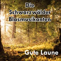 Die Schwarzwalder Blasmusikanten – Gute Laune