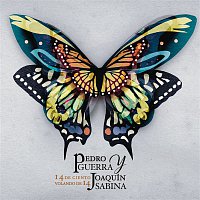 Pedro Guerra – 14 de Ciento Volando de 14