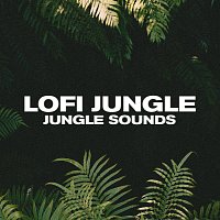 LOFI JUNGLE, WRLDS – jungle sounds