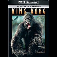 Různí interpreti – King Kong (2005)