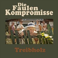 Přední strana obalu CD Treibholz