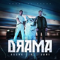 Asche, JURI – DRAMA