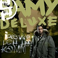 Samy Deluxe – Dis Wo Ich Herkomm