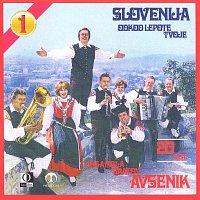 Ansambel bratov Avsenik – Slovenija od kod lepote tvoje 1