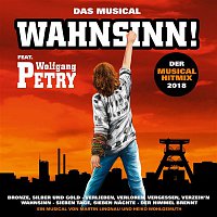 Wolfgang Petry – Der Wahnsinn Musical Hitmix 2018