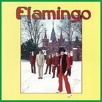 Přední strana obalu CD Flamingo