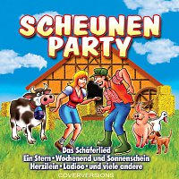 Scheunenparty