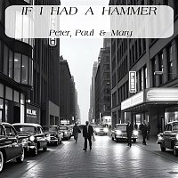 Přední strana obalu CD If I Had A Hammer