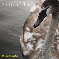 Dream About You – Tequilla