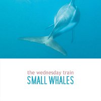 The Wednesday Train – Small Whales