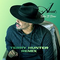 Přední strana obalu CD Take It Slow [Terry Hunter Remixes]