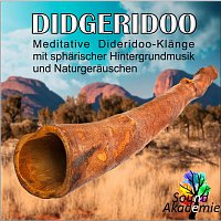 Sound Akademie – Didgeridoo, meditative Didgeridooklange mit spharischer Hintergrundmusik und Naturgerauschen