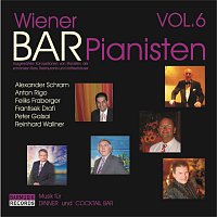 Různí interpreti – Wiener Bar Pianisten VOL.6