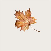 Přední strana obalu CD Midnight Drive