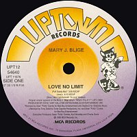 Love No Limit [Remixes]