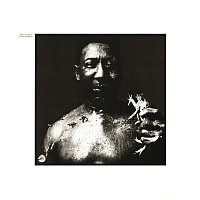 Muddy Waters – After The Rain