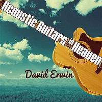 David Erwin – Acoustic Guitars in Heaven