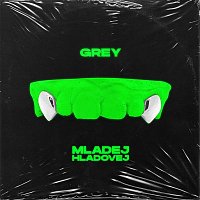 Grey256 – Mladej Hladovej MP3