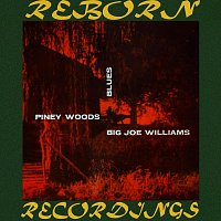 Big Joe Williams – Piney Woods Blues (HD Remastered)