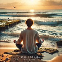 Přední strana obalu CD Harmony