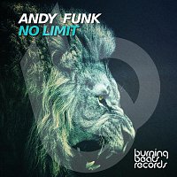 Andy Funk – No Limit