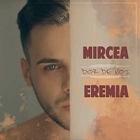 Mircea Eremia – Dor de noi