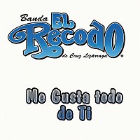 Banda Sinaloense El Recodo De Cruz Lizarraga – Me Gusta Todo De Ti