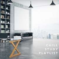 Chill Study Playlist