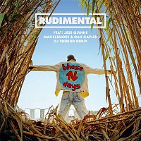 Rudimental – These Days (feat. Jess Glynne, Macklemore & Dan Caplen) [DJ Premier Remix]