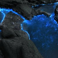 Kim Addict – Sea The Sky