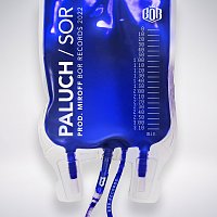 Paluch, Hvll, Miroff – SOR