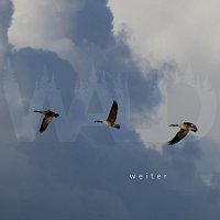 Wald – Weiter