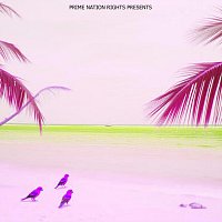 Rico – Brazil Nights
