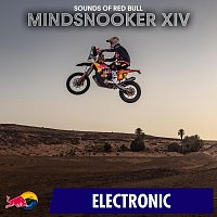 Sounds of Red Bull – Mindsnooker XIV