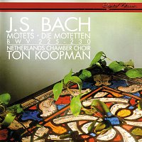 Ton Koopman, Ageet Zweistra, Margaret Urquhart, Maarten van der Heyden – Bach, J.S.: 6 Motets