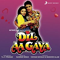 Dil Aa Gaya (Original Motion Picture Soundtrack)