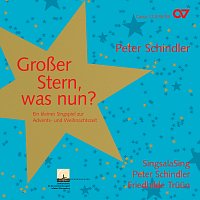 Peter Schindler, SingsalaSing, Kinderchor der Landesakademie, Ochsenhausen – Peter Schindler: Groszer Stern, was nun?