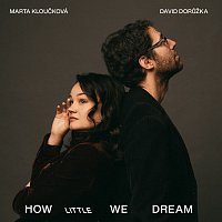Marta Kloučková, David Dorůžka – How Little We Dream LP