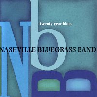 Přední strana obalu CD Twenty Year Blues