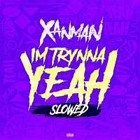 Xanman – I'm Trynna Yeah (slowed)